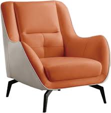 Leren Lounge Fauteuil voor de Woonkamer